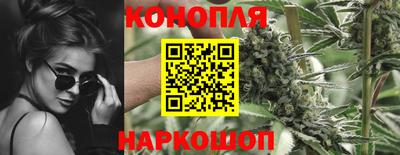 бошки Донецк