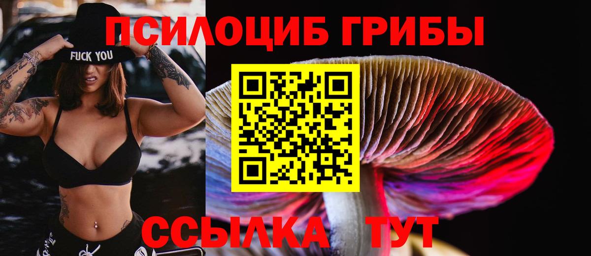 Кулебаки  Псилоцибиновые грибы MAGIC MUSHROOMS  Вход с VPN  Псилоцибиновые грибы Psilocybine cubensis 